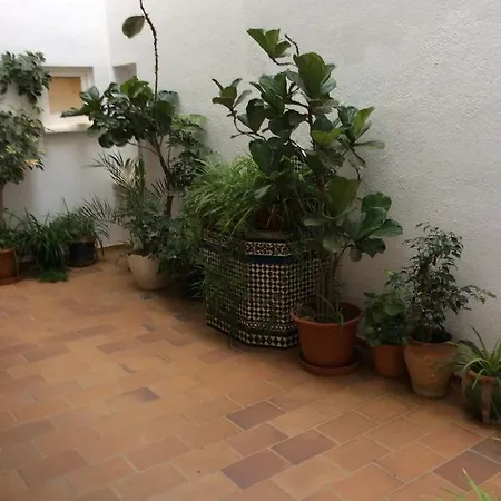 Appartement Estudio San José